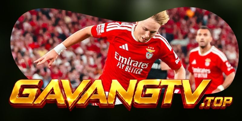 Tổng hợp dự đoán kèo Santa Clara vs Benfica ngày 27/10